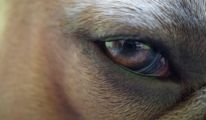 Connect with Photographers